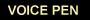 Voice Pen